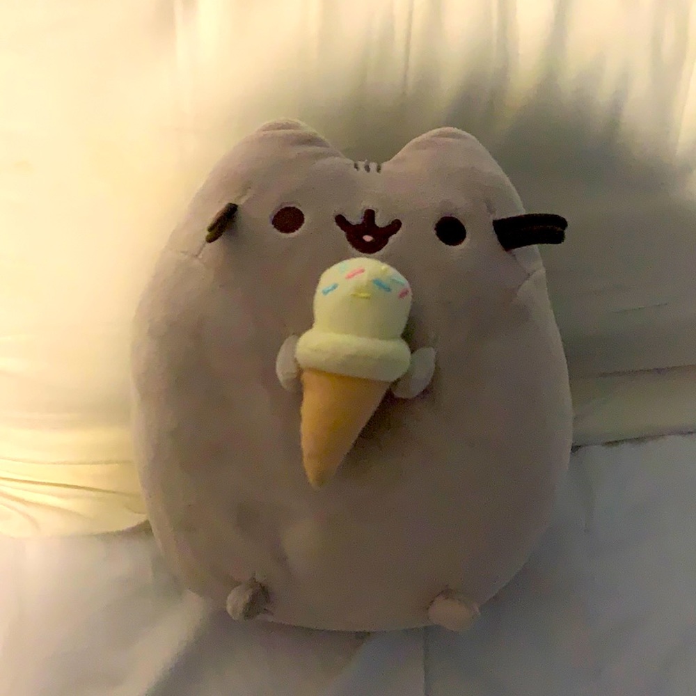 Pusheen the cat plush with ice cream cone